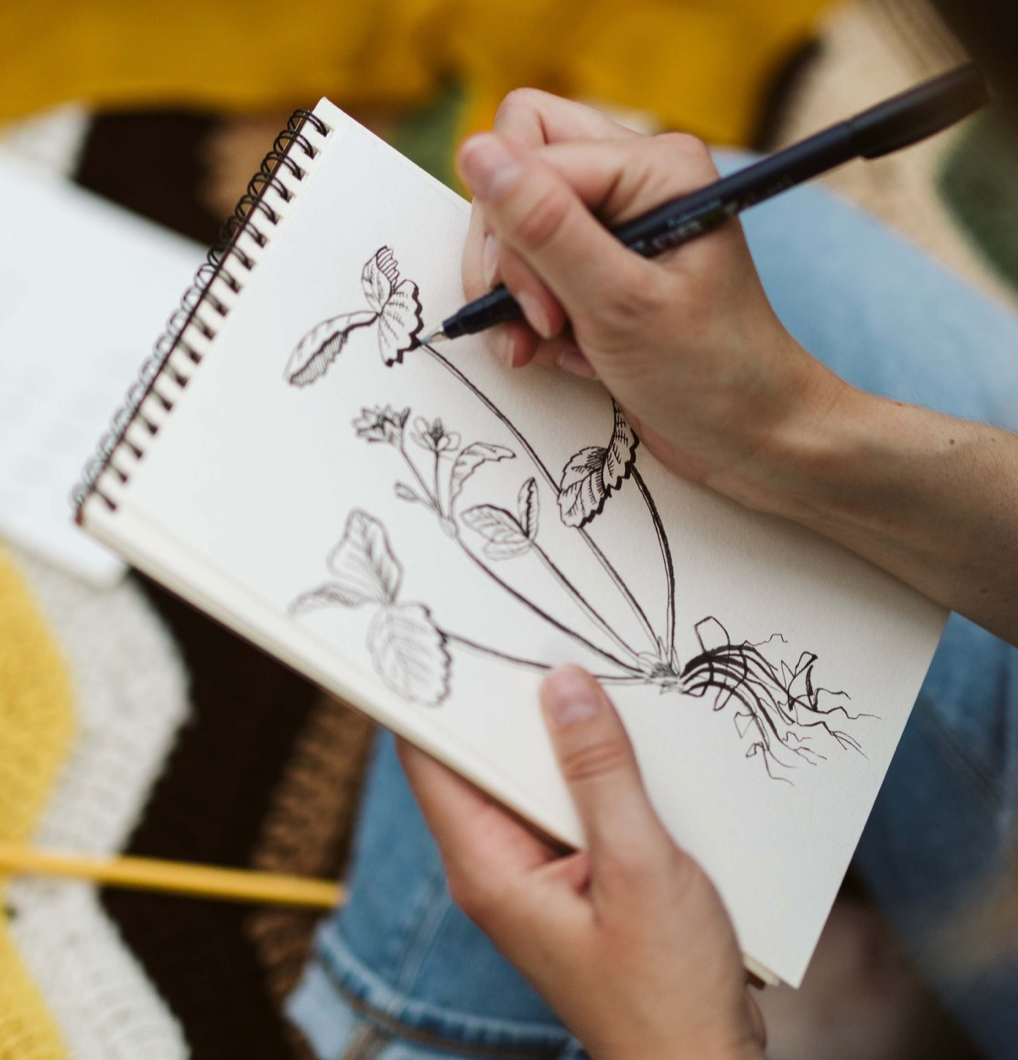 Botanical Drawing for Beginners Kit – Mutual Adoration + POST