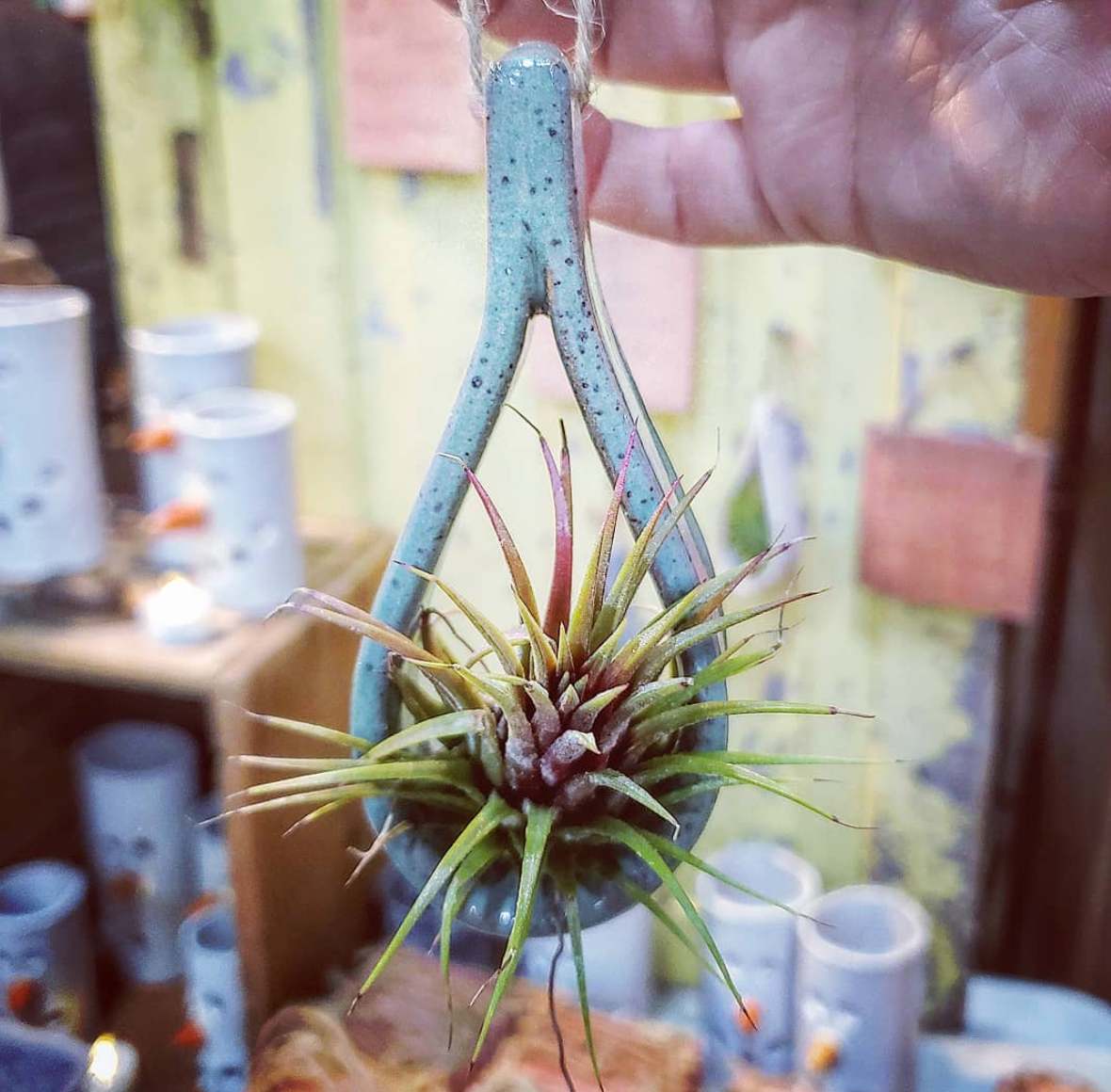 teardrop air plant holder SALE Ceramic Teardrop Air Plant Holders