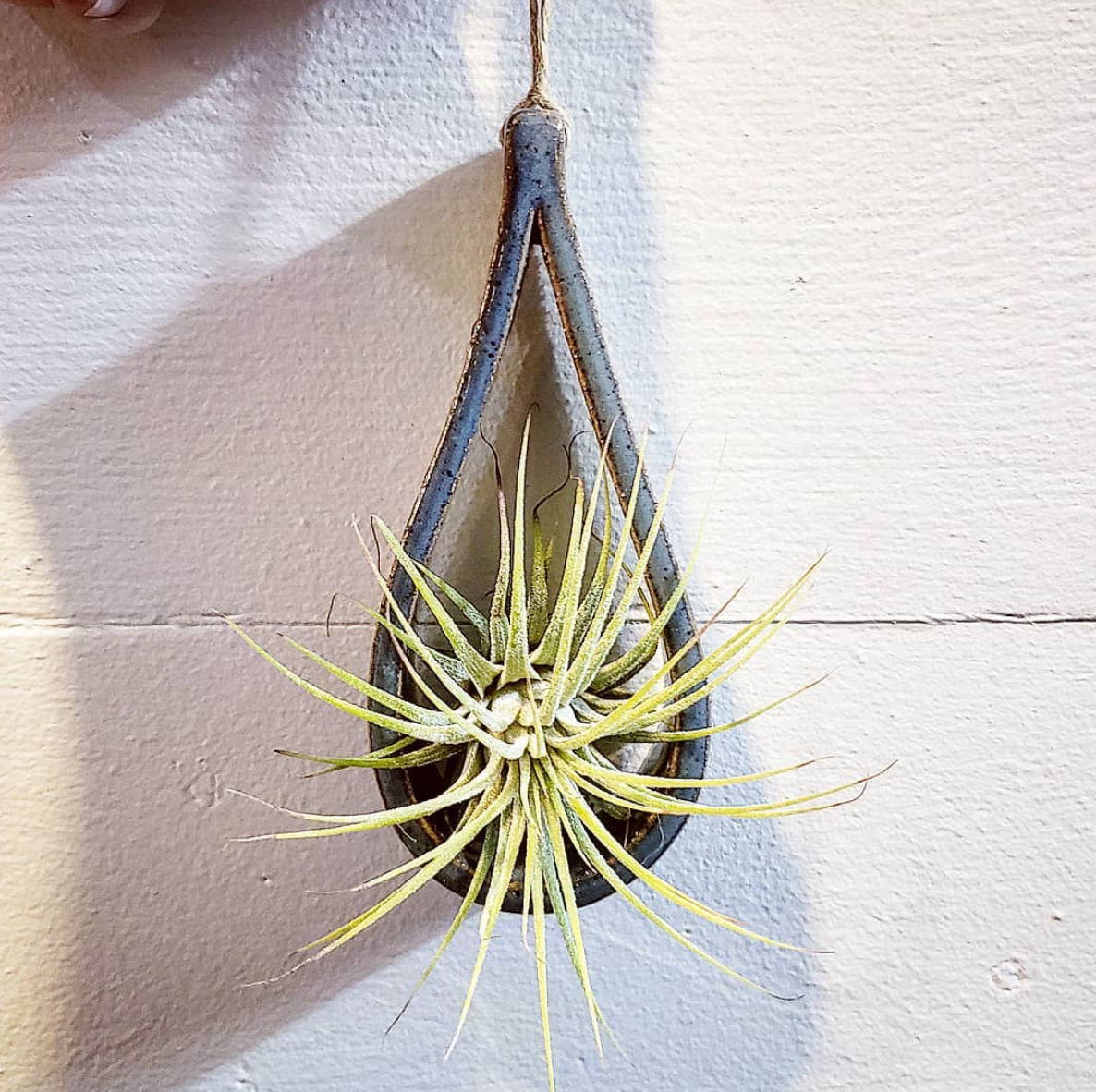 teardrop air plant holder SALE Ceramic Teardrop Air Plant Holders
