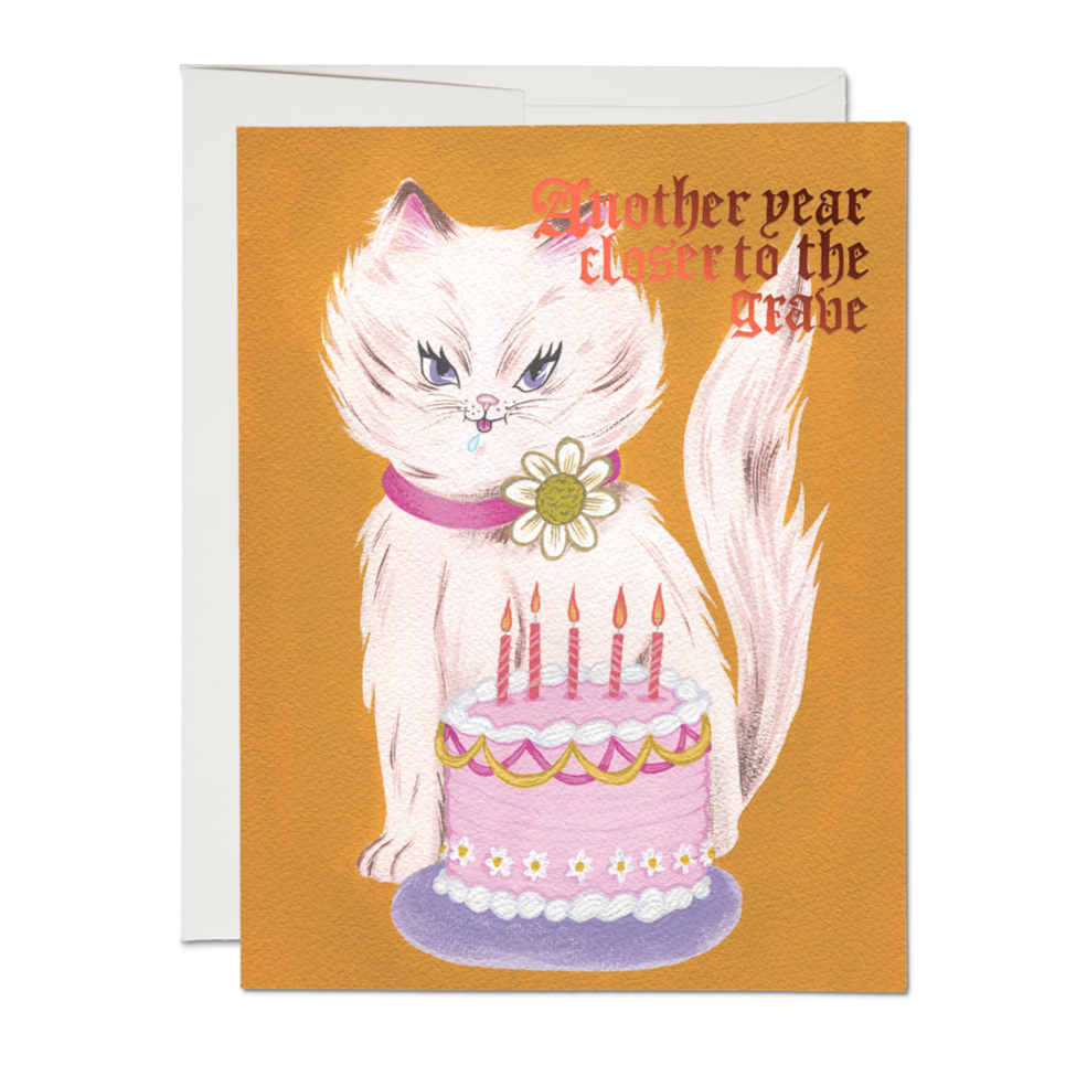 Kitty + Cake Birthday Card – Mutual Adoration + POST