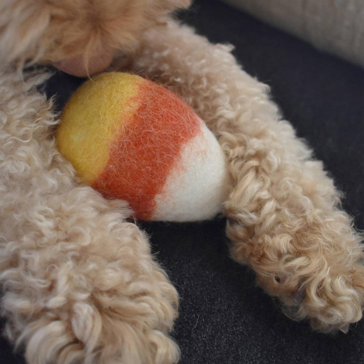 Candy Corn Felted Wool Pet Toy – Mutual Adoration + POST