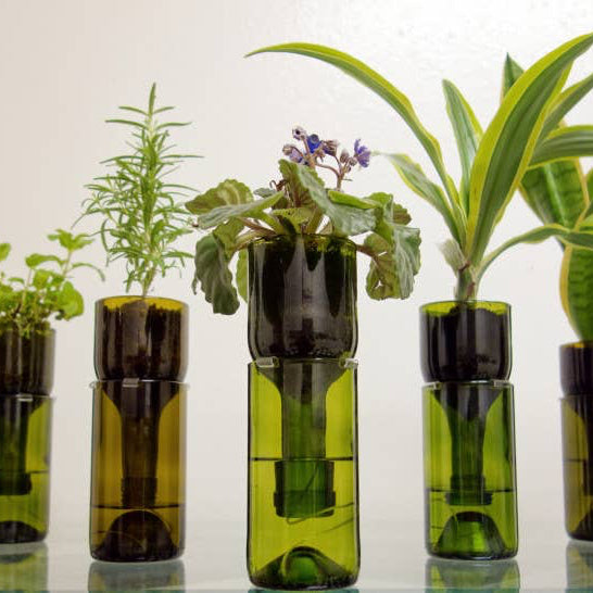 self watering hydro planter Propagation Station Self Watering Plant Pot Wine Bottle Hydroponic Planter