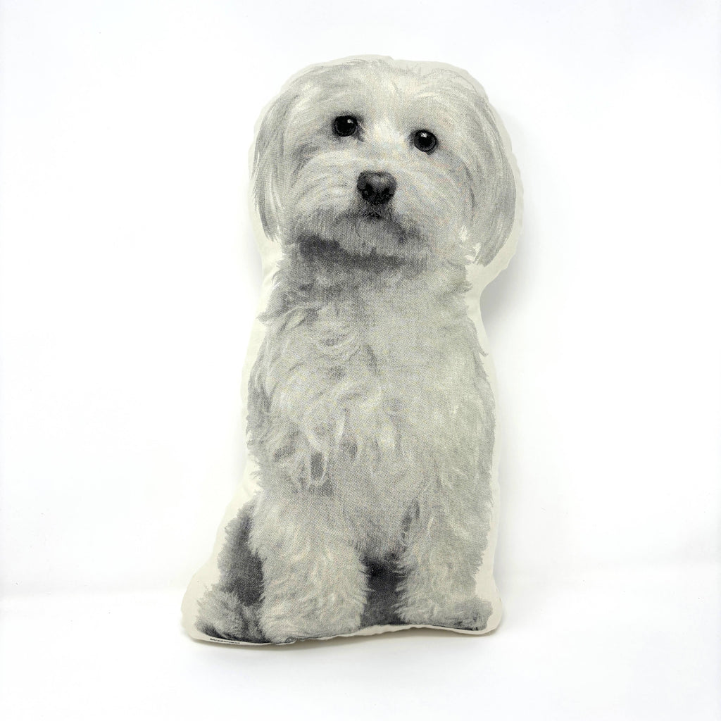 Broderpress Maltese Accent Pillow