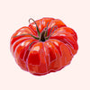 A stylized illustration of a red tomato with pink outline details on a pale peach background.