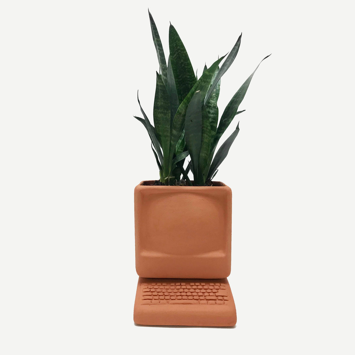 Terracotta Desktop Computer Planter – Mutual Adoration + POST