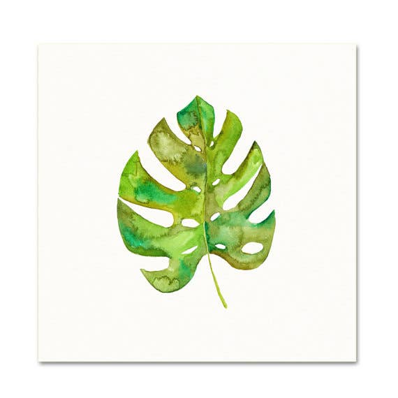 split leaf philodendron watercolor Split Leaf Philodendron Watercolor 11x14 Art Print