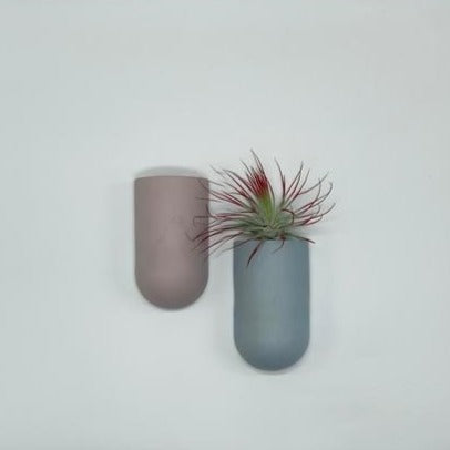 hanging planter concrete Small Concrete Wall Planter in Earthy Pastel Colors – Mutual Adoration + POST