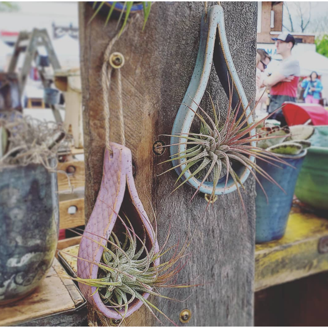 air plant basket SALE Ceramic Teardrop Air Plant Holders – Mutual Adoration + POST