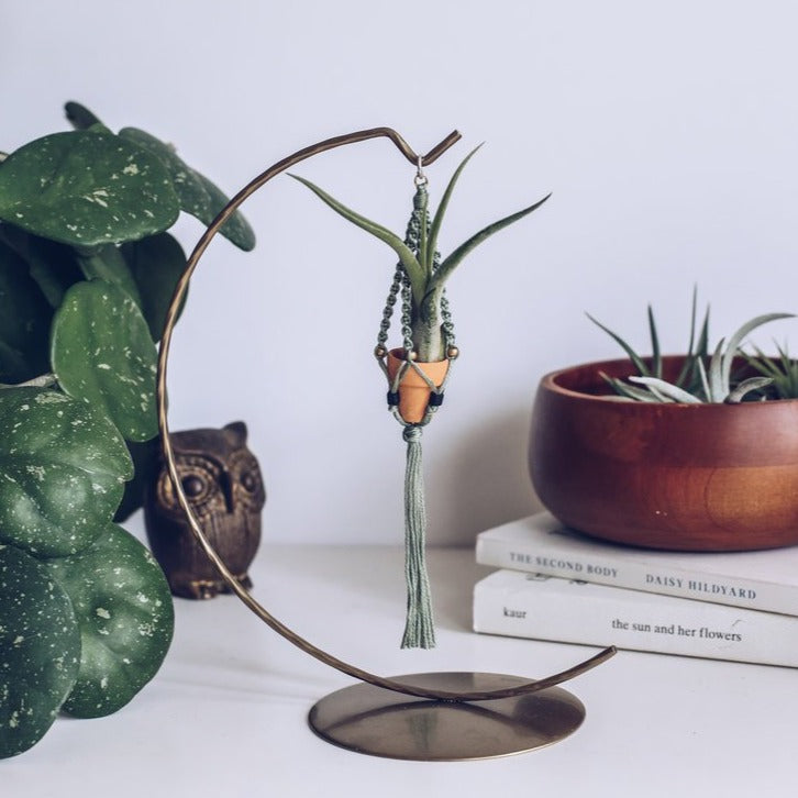hanging pots for air plants Mini Macrame Hanging Pot with Air Plant – Mutual Adoration + POST