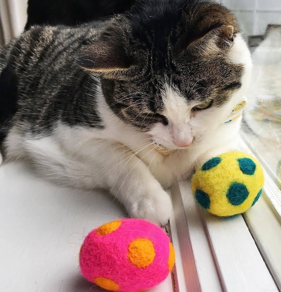 Multicolor Felted Wool Ball Cat Toy Mutual Adoration POST