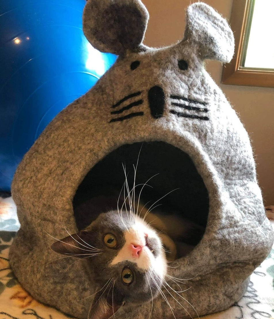 Felted Wool Pet Cave in Grey Mouse Design – Mutual Adoration + POST