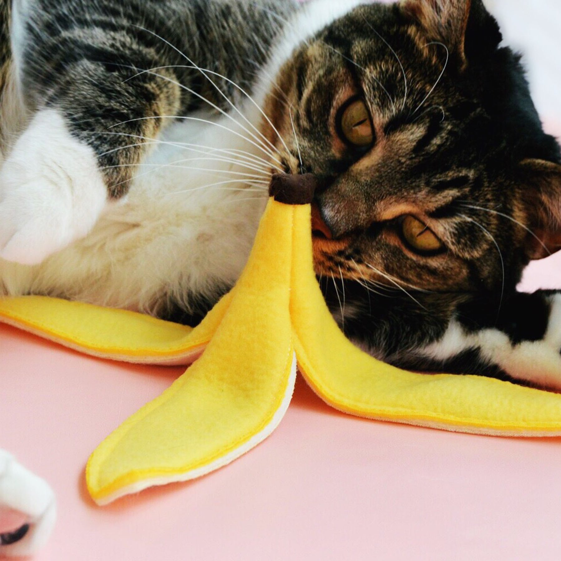 Banana Peel Catnip Infused Felt Cat Toy Mutual Adoration POST